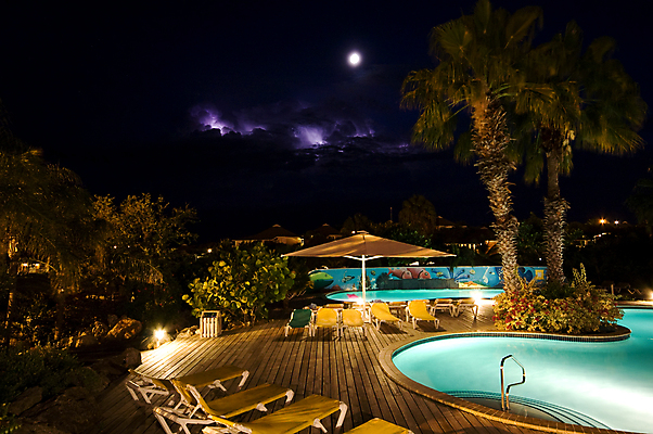 포토 JPG 해외이미지 나무 자연 전등 조명 손바닥 사람없음 야외 물 여름 파란색 뷰티 어둠 야간 저녁 휴양지 해외포토 자연요소 식물 손 계절 컬러 장소 생태계 파일형식 이미지허브