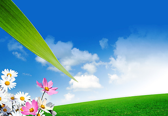 포토 JPG 해외이미지 구름 라이프스타일 남자 행복 어린이 여행 백그라운드 잎 크리스마스 밭 일러스트 모션 자연 하늘 산 프레임 사람 풍경 초원 사람없음 초록색 파란색 빛 뷰티 냉동 희망 봄 기쁨 가을 흰색 나뭇가지 전원 숲 언덕 해외일러스트 자연요소 나무 식물 계절 기념일 감정 컬러 농업 생활 전기에너지 생태계 파일형식 이미지허브