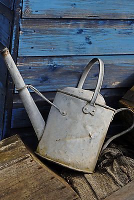 포토 JPG 해외이미지 식물 유물 사람없음 야외 목재 물 파란색 금속 정원 봄 물뿌리개 골동품 도구 공구 시골 물주기 원예 헛간 스프링쿨러 심기 옛날 해외포토 자연요소 나무 전통 계절 컬러 재료 모션 재질 취미 저장고 파일형식 이미지허브