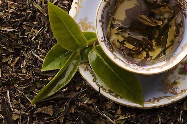 포토 JPG 해외이미지 잎 티타임 사람없음 하이앵글 찻잔 녹차 컵받침 찻잎 녹차잎 해외포토 식물 뷰포인트 휴식 잔 차_음료 받침대 파일형식 이미지허브