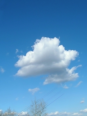 포토 JPG 해외이미지 구름 실루엣 하늘색 백그라운드 자연 벽지 하늘 풍경 사람없음 야외 파란색 빛 태양 뷰티 웹 덮개 광선 흰색 만족 질감 부드러움 천국 해외포토 자연요소 감정 컬러 인터넷 촬영기법 뚜껑 감각 생태계 파일형식 이미지허브