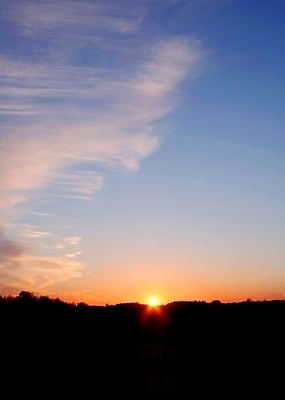 포토 JPG 해외이미지 실루엣 분홍색 하늘색 백그라운드 자연 벽지 하늘 사람없음 야외 파란색 빛 태양 뷰티 일출 맑음 웹 일몰 덮개 광선 저녁 만족 질감 상승 부드러움 천국 내추럴 종료 해외포토 자연요소 감정 컬러 컨셉 인터넷 날씨 촬영기법 노을 뚜껑 감각 야간 생태계 파일형식 이미지허브