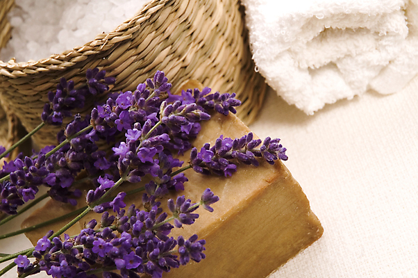 포토 JPG 해외이미지 식물 꽃 꽃다발 재료 자연 휴식 사람없음 장식 수건 뷰티 건강관리 보라색 스파 화목 약재 흰색 신선 약초 허브 향기 냄새 소금 부드러움 아로마테라피 라벤더 해외포토 컬러 컨셉 건강 관리 위생용품 약 풀_식물 감각 생태계 테라피 파일형식 이미지허브