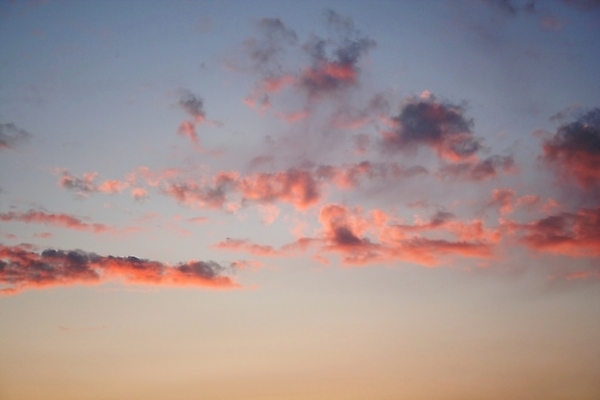 포토 JPG 해외이미지 실루엣 분홍색 하늘색 백그라운드 자연 벽지 하늘 사람없음 야외 파란색 빛 태양 뷰티 일출 맑음 웹 일몰 덮개 저녁 만족 질감 상승 부드러움 천국 내추럴 종료 해외포토 자연요소 감정 컬러 컨셉 인터넷 날씨 촬영기법 노을 뚜껑 감각 야간 생태계 파일형식 이미지허브