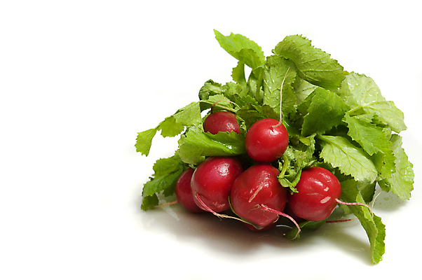 포토 JPG 해외이미지 식물 음식 잎 다이어트 채소 과일 자연 건강 요리 사람없음 빨간색 초록색 컬러풀 농장 주방 정원 샐러드 수확 흰색 신선 그룹 시장 맛 다발 먹기 오브젝트 상쾌 유기농 날것 뿌리 고립 숙성 영양분 채식주의자 총각무 맛있는 해외포토 웰빙 감정 컬러 컨셉 농업 모션 무 생태계 채식 파일형식 이미지허브