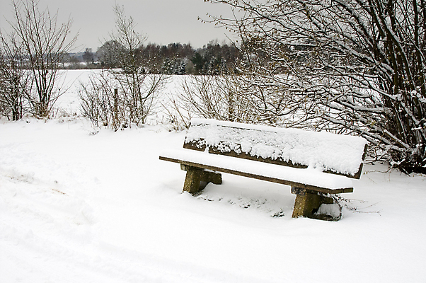 포토 JPG 해외이미지 나무 계절 백그라운드 겨울 벤치 의자 자연 풍경 사람없음 얼음 추위 흰색 순수 서리 해외포토 자연요소 식물 컬러 가구 컨셉 생태계 파일형식 이미지허브