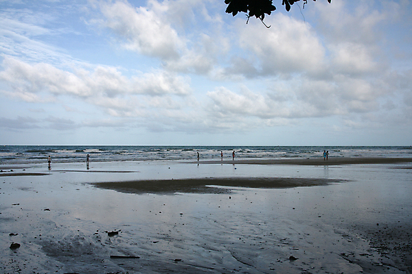 포토 JPG 해외이미지 나무 구름 아시아 밧줄 모래 파도 바다 섬 여행 태국 자연 하늘 아침 휴가 사람 사람없음 초록색 물 여름 파란색 여행객 수영 보트 숲 이국적 수평선 해외포토 주간 자연요소 식물 계절 나라 줄 컬러 배_교통 수상스포츠 생태계 파일형식 이미지허브