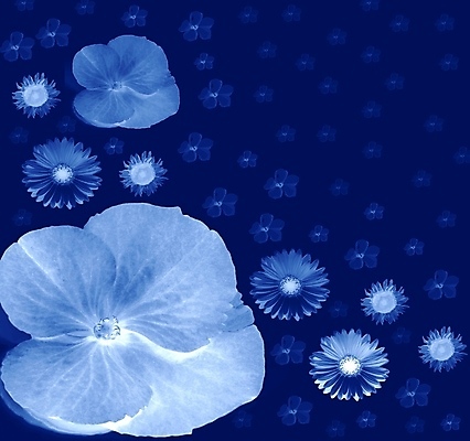 포토 JPG 해외이미지 식물 계절 꽃잎 꽃 분홍색 꽃다발 백그라운드 잎 꽃무늬 자연 벽지 사람없음 초록색 여름 파란색 뷰티 정원 벚꽃 침대 신용카드 개화 만족 그림 질감 내추럴 해외포토 감정 컬러 가구 무늬 금융 생태계 파일형식 이미지허브