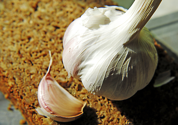 포토 JPG 해외이미지 음식 빵 다이어트 건강 마늘 요리 사람없음 주방 먹기 매움 해외포토 채소 모션 맛 파일형식 이미지허브