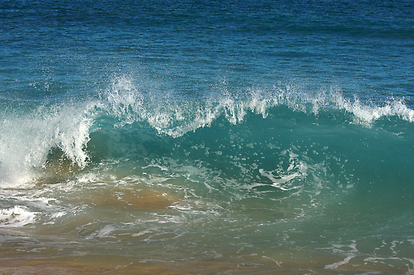 포토 JPG 해외이미지 주간 모래 파도 바다 여행 백그라운드 모션 자연 조류 날씨 사람없음 야외 초록색 물 파란색 뷰티 힘 거품 젖음 액체 서핑 떨어짐 하와이 태평양 분무기 격파 생태학 쓰나미 해외포토 자연요소 동물 교육 컬러 컨셉 미국 수상스포츠 생태계 해일 파일형식 이미지허브