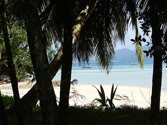 포토 JPG 해외이미지 나무 모래 바다 섬 여행 하늘 휴식 손바닥 사람없음 초록색 물 파란색 햇빛 세이셸 석호 해외포토 자연요소 식물 손 컬러 컨셉 아프리카 태양 파일형식 이미지허브