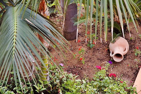 포토 JPG 해외이미지 식물 꽃 손바닥 사람없음 야자수 정원 골동품 항아리 컨테이너 해외포토 나무 손 산업 도자기 파일형식 이미지허브