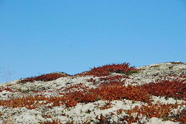 포토 JPG 해외이미지 호수 산 이끼 사람없음 물 파란색 언덕 해외포토 자연요소 컬러 파일형식 이미지허브
