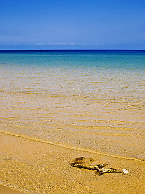 포토 JPG 해외이미지 물결 모래 파도 바다 여행 백그라운드 자연 휴가 사람없음 물 평화 환경 고요 조약돌 바위 지중해 묘사 명상 몰타섬 해외포토 자연요소 섬 컨셉 돌_바위 생태계 몰타 파일형식 이미지허브