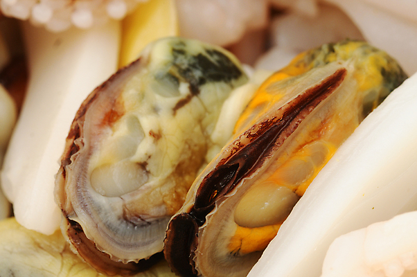 포토 JPG 해외이미지 음식 백그라운드 자연 건강 사람없음 식사 저녁식사 껍질 신선 날것 홍합 성분 점심식사 맛있는 해외포토 어패류 생태계 파일형식 이미지허브