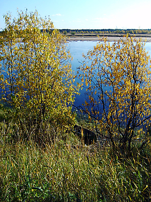 포토 JPG 해외이미지 나무 여행 자연 하늘 휴가 사람없음 야외 초록색 물 강 햇빛 러시아 북쪽 수평선 해외포토 자연요소 식물 유럽 컬러 태양 방향 생태계 파일형식 이미지허브