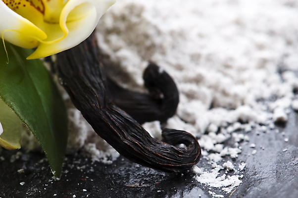 포토 JPG 해외이미지 꽃 음식 다이어트 자연 디저트 콩 요리 사람없음 갈색 검은색 어둠 벚꽃 흰색 난초 달콤 맛 설탕 굽기 먹기 향수 향신료 아로마 칼로리 내추럴 고립 꼬투리 바닐라 이국적 맛있는 해외포토 식물 컬러 컨셉 모션 곡류 건강 화장품 구이 생태계 향미료 파일형식 이미지허브