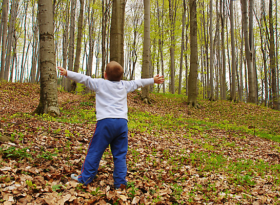 포토 JPG 해외이미지 나무 행복 지구 어린이 자연 건강 사랑 한명 미소 소년 야외 목재 청춘 귀여움 환경 기쁨 성장 거친 보호 숲 큼 산등성이 나무껍질 산소 돌봄 생태학 옛날 가문비나무 해외포토 식물 1 교육 남자 감정 컨셉 재료 모션 산 표정 사람 껍질 원소 크기 생태계 파일형식 이미지허브