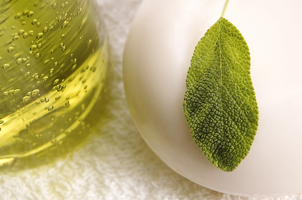 포토 JPG 해외이미지 식물 재료 자연 휴식 건강 사람없음 장식 수건 뷰티 건강관리 스파 화목 화장품 활발 우유 약재 흰색 신선 그룹 영혼 고급 약초 허브 향기 냄새 부드러움 비누 아로마테라피 돌봄 바디케어 샤워실 세이지 위생관리 해외포토 컬러 컨셉 모션 유제품 관리 위생용품 약 풀_식물 감각 생태계 테라피 샤워시설 파일형식 이미지허브