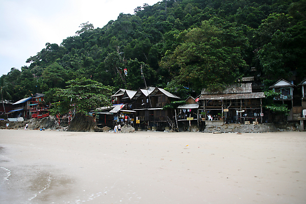 포토 JPG 해외이미지 나무 아시아 바다 섬 여행 태국 자연 호텔 휴가 주택 손바닥 사람없음 건물 목재 초록색 여름 여행객 숲 열대우림 휴양지 뿌리 코코넛 내추럴 이국적 해외포토 식물 건축물 손 계절 나라 컬러 과일 재료 숙소 사람 장소 생태계 파일형식 이미지허브