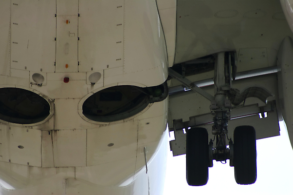 포토 JPG 해외이미지 여행 날개 교통시설 하늘 휴가 바닥 비행기 사람없음 옆모습 파란색 흰색 땅 도착 항공 출발 머리위 제트기 승객 이륙 대패 접근 해외포토 뷰포인트 컬러 교통 컨셉 항공교통 대중교통 시설 파일형식 이미지허브