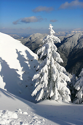 포토 JPG 해외이미지 나무 여행 겨울 자연 하늘 휴가 산 사람없음 파란색 뷰티 얼음 추위 흰색 신선 소나무 숲 가루 상록수 침엽수 탐사 전나무 눈보라 공터 내추럴 깊이 묘목 삼나무 절정 가문비나무 카피스페이스 해외포토 자연요소 식물 계절 컬러 눈_날씨 공백 생태계 파일형식 이미지허브