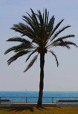 포토 JPG 해외이미지 구름 유럽 파도 바다 섬 여행 요트 따뜻함 손바닥 풍경 사람없음 물 파란색 태양 맑음 침묵 꿈 물가 보트 함선 선원 해외포토 자연요소 손 나라 컬러 배_교통 날씨 소리 파일형식 이미지허브