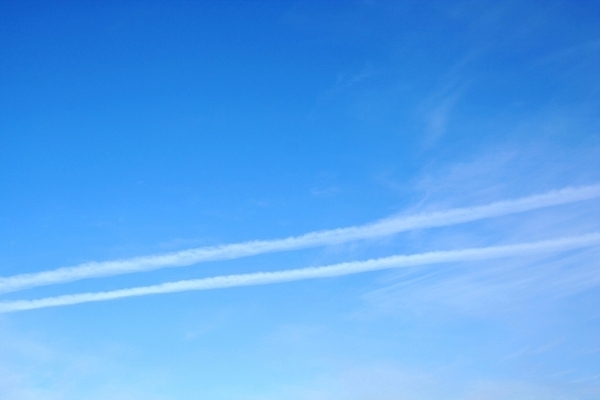 포토 JPG 해외이미지 구름 계절 실루엣 하늘색 백그라운드 자연 벽지 하늘 풍경 사람없음 야외 여름 파란색 빛 뷰티 맑음 웹 덮개 흰색 만족 질감 부드러움 천국 솜털 내추럴 해외포토 자연요소 감정 컬러 인터넷 날씨 촬영기법 뚜껑 감각 생태계 파일형식 이미지허브