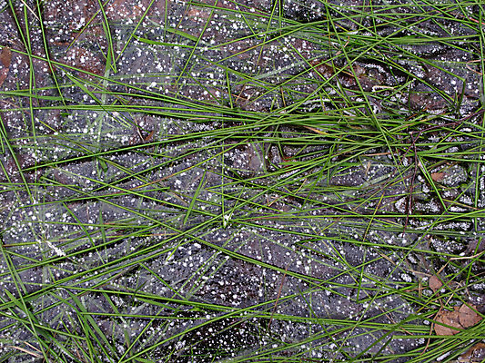 포토 JPG 해외이미지 계절 지구 백그라운드 겨울 자연 표면 날씨 추상 사람없음 물 냉동 얼음 회색 추위 흰색 시골 점 얼룩 크리스탈 질감 서리 웅덩이 블러 해외포토 자연요소 컬러 무늬 광석 생태계 파일형식 이미지허브