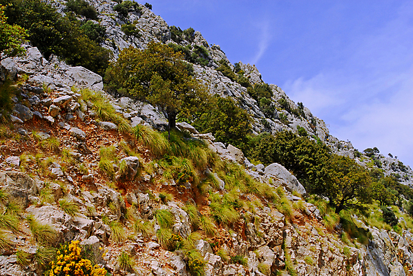 포토 JPG 해외이미지 나무 유럽 밭 자연 산 풍경 경사 초원 사람없음 목재 초록색 바위 언덕 장면 암초 그린란드 심지 해외포토 식물 나라 컬러 섬 농업 재료 덴마크 돌_바위 생태계 파일형식 이미지허브