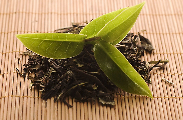 포토 JPG 해외이미지 잎 티타임 근접촬영 사람없음 찻잎 녹차잎 해외포토 식물 뷰포인트 휴식 차_음료 녹차 파일형식 이미지허브