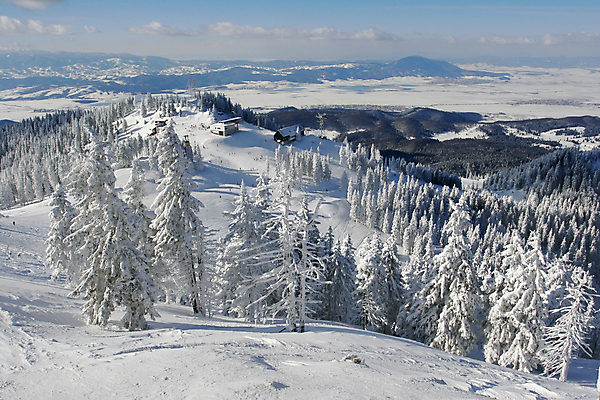 포토 JPG 해외이미지 휴가 사람없음 소나무 해외포토 나무 파일형식 이미지허브