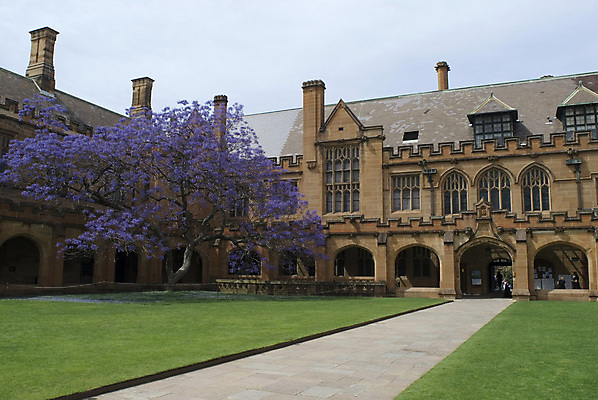 포토 JPG 해외이미지 나무 전통 교육 잔디 사람없음 학습 스터디 보라색 침묵 역사 호주 대학교 시드니 고딕 안뜰 해외포토 식물 컬러 학교 소리 오세아니아 파일형식 이미지허브