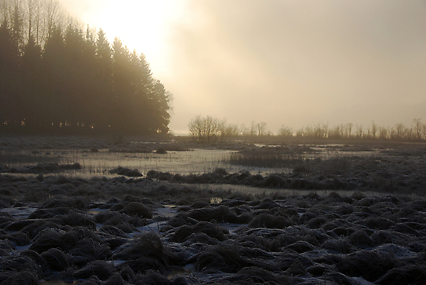 포토 JPG 해외이미지 겨울 자연 사람없음 물 파란색 태양 추위 안개 흰색 서리 해외포토 자연요소 계절 컬러 날씨 생태계 파일형식 이미지허브