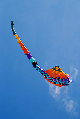 포토 JPG 해외이미지 하늘 어류 사람없음 파란색 컬러풀 장난감 우주 스케이트 광선 연 꼬리 카피스페이스 해외포토 스포츠용품 컬러 놀이용품 수중동물 공백 파일형식 이미지허브