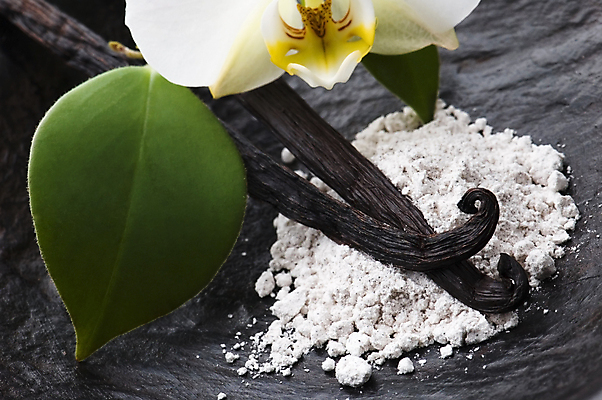 포토 JPG 해외이미지 꽃 음식 다이어트 자연 디저트 콩 요리 사람없음 갈색 검은색 어둠 벚꽃 흰색 난초 달콤 맛 설탕 굽기 먹기 향수 향신료 아로마 칼로리 내추럴 고립 꼬투리 바닐라 이국적 맛있는 해외포토 식물 컬러 컨셉 모션 곡류 건강 화장품 구이 생태계 향미료 파일형식 이미지허브