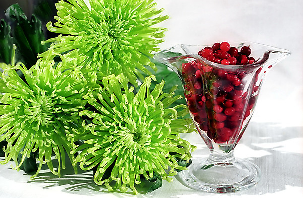 포토 JPG 해외이미지 식물 열매 꽃잎 꽃 꽃다발 꽃무늬 자연 유리 국화 3 사람없음 빨간색 뷰티 정원 신선 원예 블루베리 비타민 월귤 해외포토 컬러 무늬 과일 재질 취미 생태계 영양소 파일형식 이미지허브