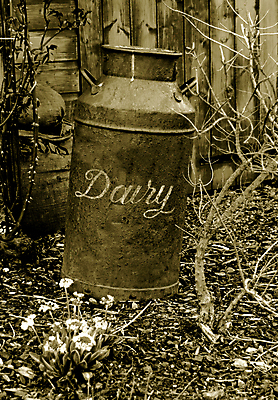 포토 JPG 해외이미지 꽃 농업 가방 흑백 사람없음 검은색 봄 우유 수확 골동품 흰색 시골 캔 자루 헛간 세피아 옛날 정물화 해외포토 식물 잡화 계절 산업 컬러 유제품 촬영기법 그림 저장고 파일형식 이미지허브