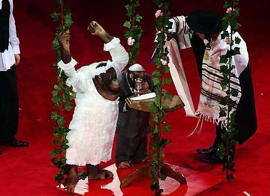 포토 JPG 해외이미지 사람없음 숫자 경기장 공연 기쁨 원숭이 서커스 침팬지 해외포토 문자 감정 포유류 스포츠시설 이벤트 파일형식 이미지허브