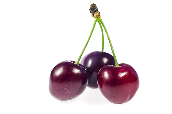 포토 JPG 해외이미지 음식 과일 자연 사람없음 빨간색 신선 체리 달콤 비타민 고립 해외포토 컬러 맛 생태계 영양소 파일형식 이미지허브