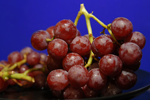 포토 JPG 해외이미지 식물 접시 계절 열매 음식 백그라운드 농업 다이어트 과일 재료 자연 탁자 포도 추상 디저트 건강 사람없음 빨간색 여름 주방 와인 보라색 식사 주스 신선 스페인 닫기 달콤 아침식사 다발 먹기 날것 포도밭 포도나무 비타민 건포도 양조 정물화 해외포토 식기 유럽 산업 음료 컬러 가구 무늬 밭 모션 주류 맛 과일나무 그림 생태계 건과일 영양소 파일형식 이미지허브