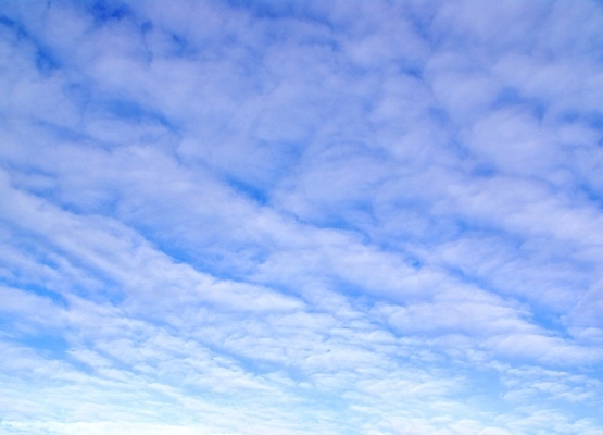 포토 JPG 해외이미지 구름 실루엣 하늘색 백그라운드 자연 벽지 하늘 풍경 사람없음 야외 파란색 빛 태양 뷰티 웹 덮개 광선 흰색 만족 질감 부드러움 천국 해외포토 자연요소 감정 컬러 인터넷 촬영기법 뚜껑 감각 생태계 파일형식 이미지허브