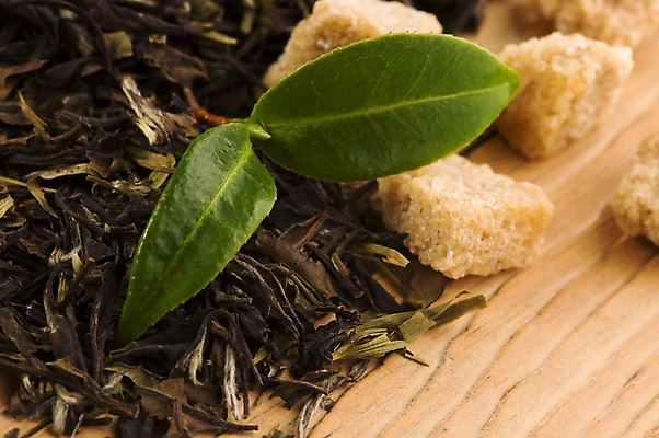 포토 JPG 해외이미지 전통 라이프스타일 아시아 문화 음료 선 잎 건조 건강 동양인 사람없음 컵 초록색 농작물 갈색 숟가락 일본 중국 나뭇가지 뜨거움 황금 차 달콤 설탕 허브 컵받침 동쪽 해외포토 나무 식물 식기 나라 컬러 농업 수저 인종 생활 맛 방향 받침대 파일형식 이미지허브