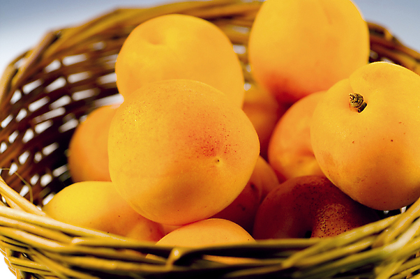 포토 JPG 해외이미지 라이프스타일 음식 백그라운드 잎 채소 오렌지 건강 사람없음 농장 흰색 신선 닫기 먹기 유기농 날것 슛 5 성분 내추럴 고립 살구 해외포토 식물 웰빙 컬러 농업 과일 모션 생활 숫자 파일형식 이미지허브