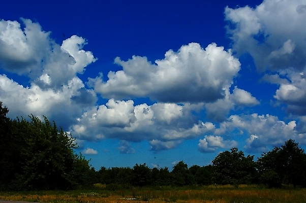 포토 JPG 해외이미지 구름 밭 창문 벽지 하늘 풍경 초원 사람없음 파란색 농작물 설탕 언덕 폴란드 해외포토 자연요소 유럽 컬러 농업 파일형식 이미지허브
