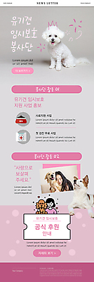 PSD 템플릿 여자 ZIP 반려견 분홍색 웹템플릿 여러마리 안기 상반신 20대 성인 두명 반려동물 한국인 골든리트리버 강아지 뉴스레터 보더콜리 봉사단 유기견 성인여자만 비숑프리제 믹스견 임보 이미지템플릿 동물 컬러 다수 모션 사람 동양인 청년 개 리트리버 자원봉사자 보호 콜리 여자만 성인만 파일형식 유기동물