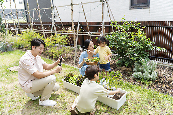 포토 JPG 주간 전신 여자 남자 행복 어린이 가족 들기 소녀 소년 여러명 상반신 성인 야외 앞모습 옆모습 뒷모습 30대 소쿠리 한국인 가족라이프 무릎꿇기 셀카봉 쌈채소 텃밭 영상촬영 홈파밍 자급자족라이프 국내포토 자연요소 라이프스타일 감정 뷰포인트 다수 밭 채소 관계 모션 사람 동양인 장년 바구니 농사 촬영 파일형식