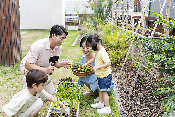 포토 JPG 주간 전신 응시 여자 남자 행복 어린이 가족 서기 미소 들기 소녀 소년 여러명 성인 야외 앞모습 옆모습 30대 소쿠리 한국인 가족라이프 웅크림 셀카봉 쌈채소 텃밭 영상촬영 홈파밍 자급자족라이프 국내포토 자연요소 라이프스타일 시선 감정 뷰포인트 다수 밭 채소 관계 모션 표정 사람 동양인 장년 바구니 농사 촬영 파일형식