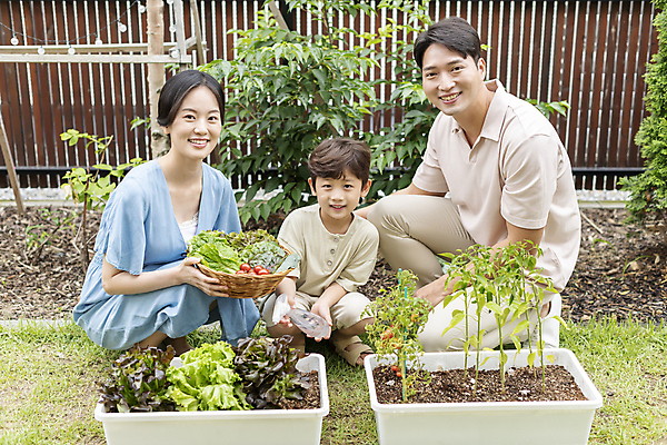 포토 JPG 주간 전신 응시 여자 남자 행복 어린이 가족 미소 들기 소년 성인 야외 앞모습 옆모습 세명 30대 소쿠리 한국인 가족라이프 무릎꿇기 웅크림 쌈채소 텃밭 홈파밍 자급자족라이프 국내포토 자연요소 라이프스타일 시선 감정 뷰포인트 밭 채소 관계 모션 표정 사람 동양인 장년 바구니 농사 파일형식