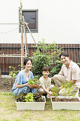 포토 JPG 주간 전신 응시 여자 남자 행복 어린이 가족 미소 들기 소년 성인 야외 앞모습 옆모습 세명 30대 소쿠리 한국인 가족라이프 무릎꿇기 웅크림 쌈채소 텃밭 홈파밍 자급자족라이프 국내포토 자연요소 라이프스타일 시선 감정 뷰포인트 밭 채소 관계 모션 표정 사람 동양인 장년 바구니 농사 파일형식